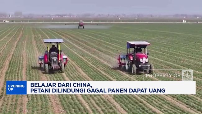 Di China, Petani Gagal Panen Dilindungi Pemerintah