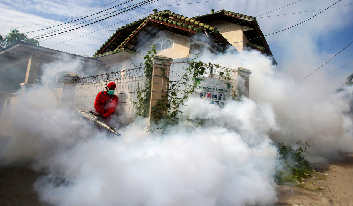 277 Kematian Akibat DBD, Terbanyak di Pulau Jawa