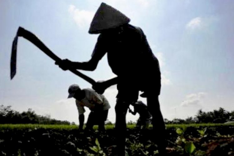 Solusi Fundamental Buat Petani