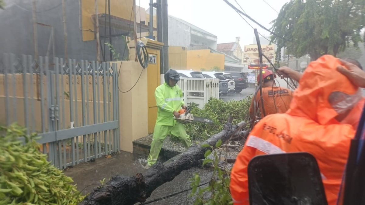 Hujan Deras Sejam, BPBD Surabaya Catat Ada 6 Pohon Tumbang dan 7 Genangan