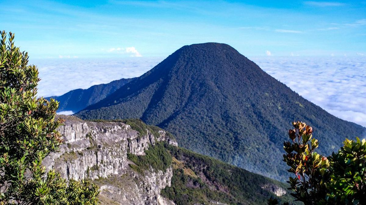 Mendaki saat Gunung Gede Tutup, 36 Orang Didenda 5 Kali Lipat