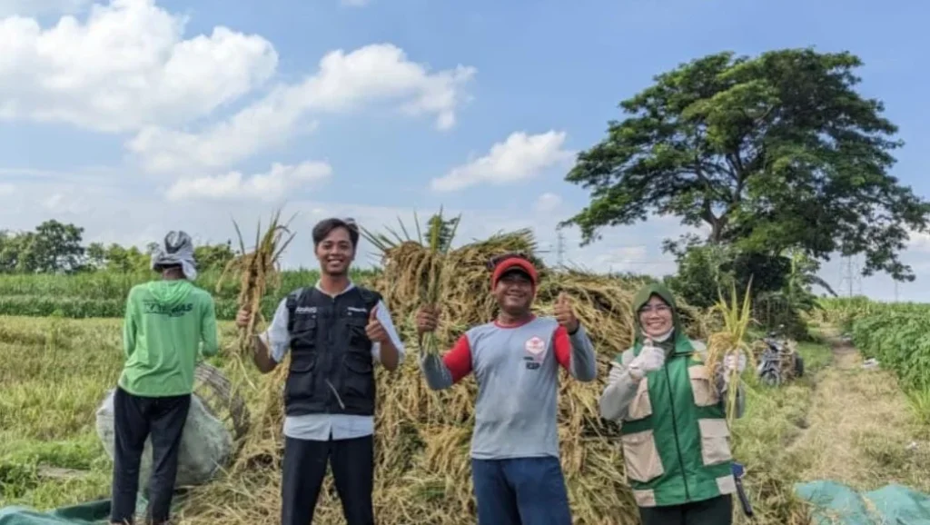Bulog Kediri Lampaui Target Serapan Gabah 73 Ribu Ton